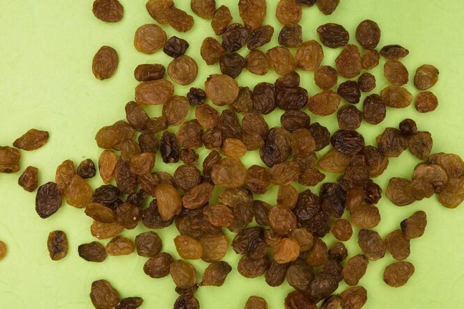 Почему наши вкусовые предпочтения меняются со временем Почему наши вкусовые предпочтения меняются со временем