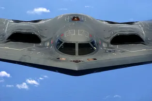 Мужчина скупил все запасные стекла бомбардировщика B-2, чтобы построить дом на дереве для дочки