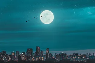 Переселяемся? NASA планирует построить дома для людей на Луне к 2040 годую