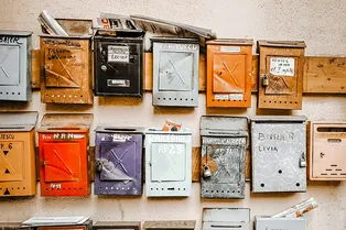 Почтальоны нашли в ящике для писем живого котенка Почтальоны нашли в ящике для писем живого котенка