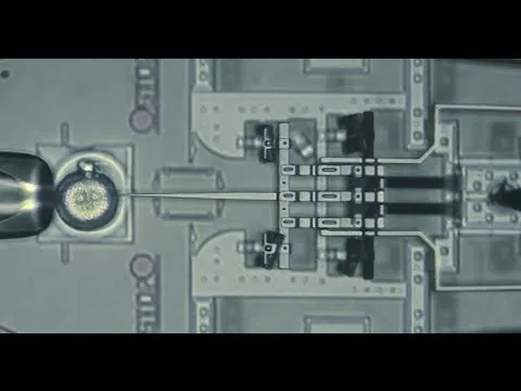 Нажми и смотри