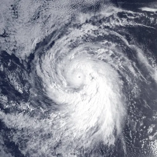 Ураган «Рэймонд»