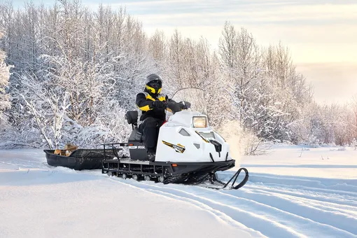 снегоход мороз с санями снегоход мороз с санями
