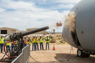 Куриная артиллерия: правда ли, что во время испытаний в самолеты стреляют замороженными курицами?