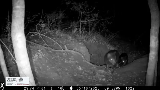 Нажми и смотри