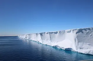 Ученые отправились на поиски «Эндьюранса» Шеклтона, а нашли рыбий город Ученые отправились на поиски «Эндьюранса» Шеклтона, а нашли рыбий город