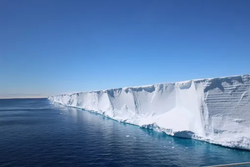 Ученые отправились на поиски «Эндьюранса» Шеклтона, а нашли рыбий город Ученые отправились на поиски «Эндьюранса» Шеклтона, а нашли рыбий город