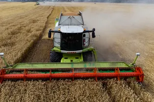 Как из-за жаркого лета цены на продукты могут вырасти до небес Как из-за жаркого лета цены на продукты могут вырасти до небес