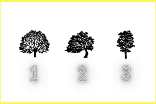 Этот тест покажет, что вам нужно изменить в себе для улучшения своей жизни: просто выберите дерево Этот тест покажет, что вам нужно изменить в себе для улучшения своей жизни: просто выберите дерево
