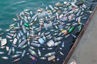 Вреда от пластика в питьевой воде не обнаружено Вреда от пластика в питьевой воде не обнаружено