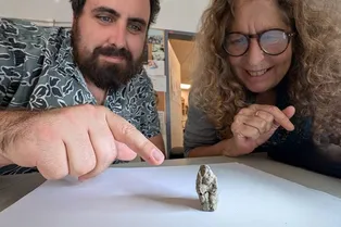 Спаривается с женщиной! В Израиле нашли 12 000-летнюю фигурку гуся