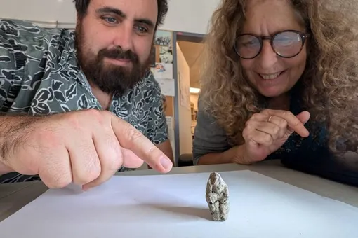 Спаривается с женщиной! В Израиле нашли 12 000-летнюю фигурку гуся