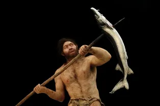 Ископаемый белок показал, что древние денисовцы и Homo erectus скрещивались друг с другом