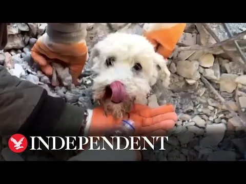 Нажми и смотри
