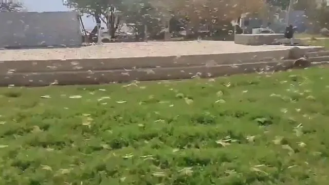 Нажми и смотри Нажми и смотри