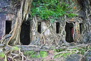 Эту загадку не смогли отгадать 95% французов — покажем, на что способны русские?