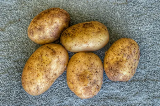 Картофель Картофель