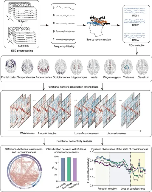 Данные ЭЭГ собирались с помощью 128-канальной шапочки высокой плотности. После предварительной обработки ЭЭГ и частотной фильтрации была проведена реконструкция источников для получения проекции временной последовательности в пространстве источников. Затем на уровне ROI была рассчитана функциональная связность, изменяющаяся во времени. Были изучены различия в сетях функциональной связности между бодрствованием и бессознательным состоянием, и для идентификации бодрствования и бессознательного состояния была применена машина опорных векторов. Наконец, был проведен динамический анализ ключевых связей для характеристики переходов между состояниями сознания во время общей анестезии. Данные ЭЭГ собирались с помощью 128-канальной шапочки высокой плотности. После предварительной обработки ЭЭГ и частотной фильтрации была проведена реконструкция источников для получения проекции временной последовательности в пространстве источников. Затем на уровне ROI была рассчитана функциональная связность, изменяющаяся во времени. Были изучены различия в сетях функциональной связности между бодрствованием и бессознательным состоянием, и для идентификации бодрствования и бессознательного состояния была применена машина опорных векторов. Наконец, был проведен динамический анализ ключевых связей для характеристики переходов между состояниями сознания во время общей анестезии.