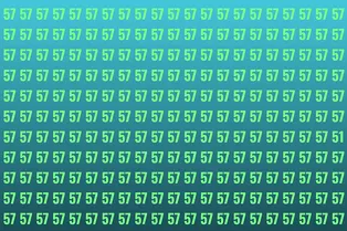 Вы видите здесь число 51? А оно есть! Найдите его за ограниченное время Вы видите здесь число 51? А оно есть! Найдите его за ограниченное время