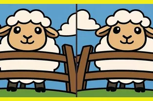 Очаровательный тест на внимательность: найдите 3 отличия между овечками Очаровательный тест на внимательность: найдите 3 отличия между овечками