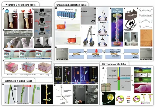 Различные применения искусственных мышц волоконного типа. Различные применения искусственных мышц волоконного типа.