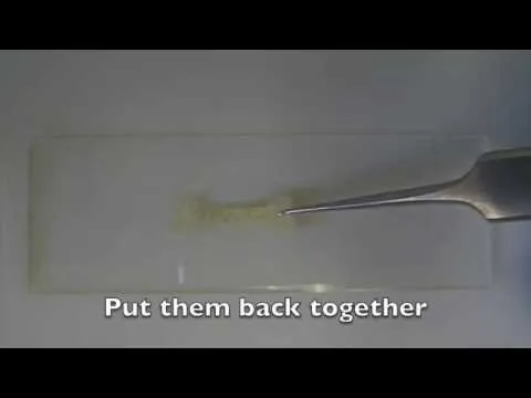 Нажми и смотри Нажми и смотри