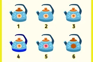 Тест для самых быстрых и зорких: найдите 2 одинаковых чайника