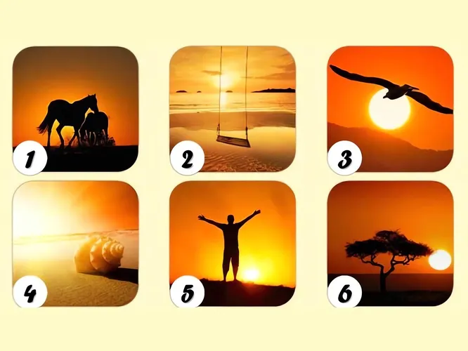 Пора делать выбор! Пора делать выбор!