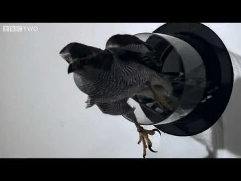 Нажми и смотри