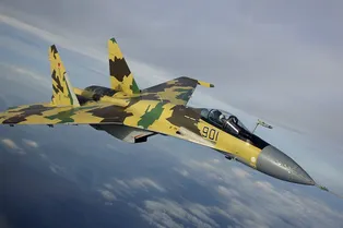 Су-35 отстрелялся тепловыми ловушками: видео