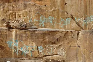 На севере Аравии нашли древние наскальные рисунки животных в полный рост