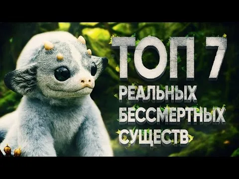 Нажми и смотри