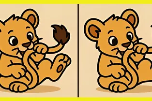 Львенок играет со своим хвостом: сможете найти 3 отличия за 20 секунд?