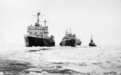 ледокол пурга