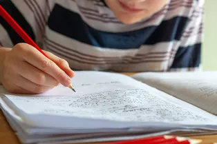 Быстрый тест для тех, кто хорошо учился: 5 вопросов из школьной программы, которые ставят взрослых в тупик Быстрый тест для тех, кто хорошо учился: 5 вопросов из школьной программы, которые ставят взрослых в тупик