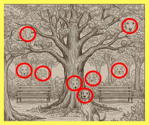 Ответ Ответ