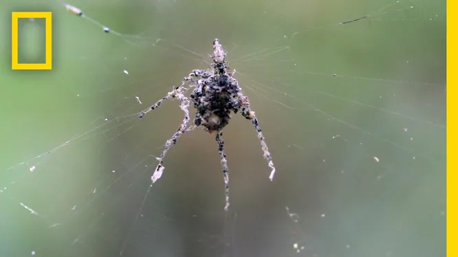 Нажми и смотри Нажми и смотри