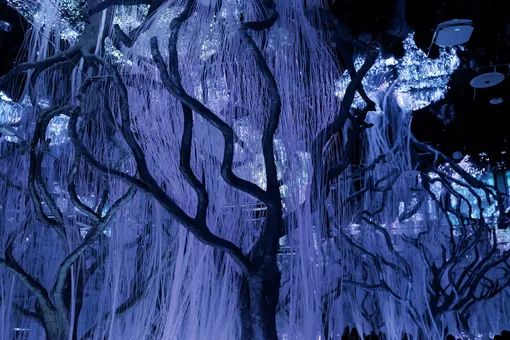 Futurione Emotions Futurione Emotions