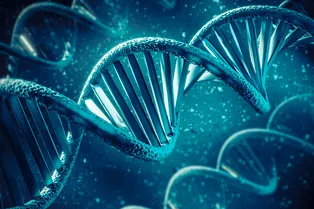 Внутри ДНК раскрыт загадочный геометрический код Внутри ДНК раскрыт загадочный геометрический код