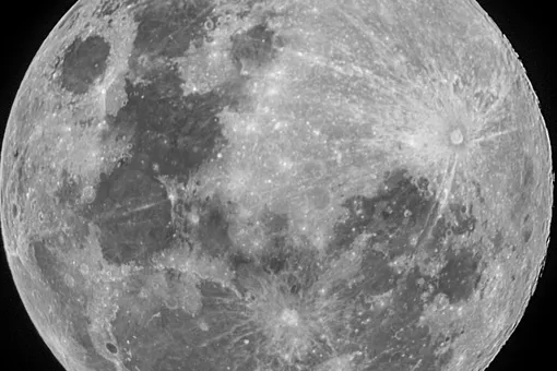 От хитрых растений до древних стрел: главные новости сегодня От хитрых растений до древних стрел: главные новости сегодня