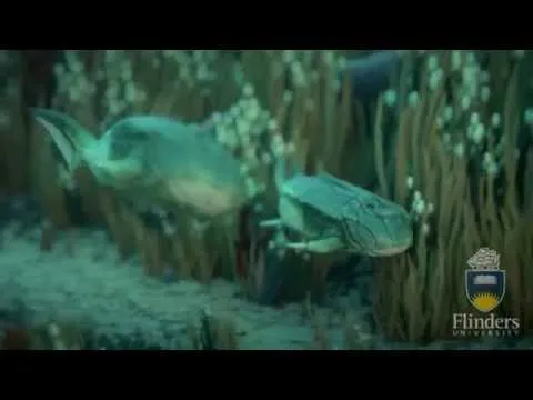 Нажми и смотри