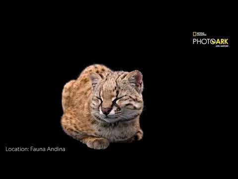 Нажми и смотри