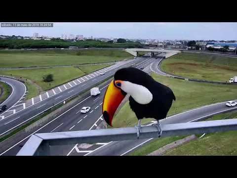 Нажми и смотри