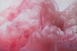 Чем опасны вейпы и как долго клещи живут в доме: главные новости сегодня Чем опасны вейпы и как долго клещи живут в доме: главные новости сегодня