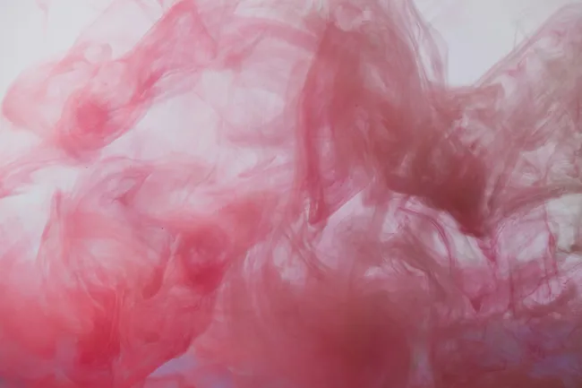 Чем опасны вейпы и как долго клещи живут в доме: главные новости сегодня