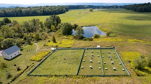 Огороженные поля, на которых жили лабораторные мыши