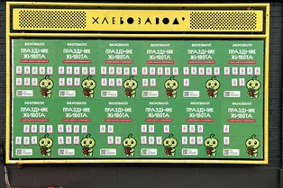 Сорви и посади дома: на Хлебозаводе появились пакетики семян микрозелени