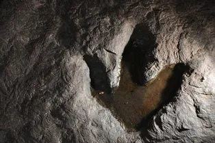 Идентифицировать динозавров по их следам сложно, но ИИ может помочь Идентифицировать динозавров по их следам сложно, но ИИ может помочь