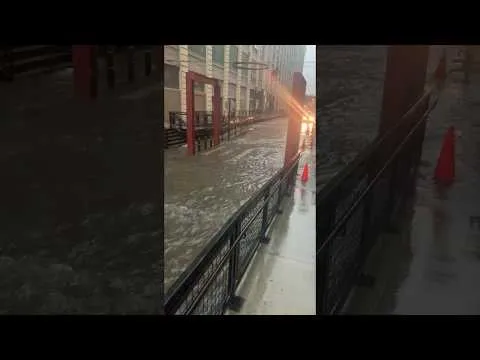 Нажми и смотри
