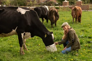 Нейроагро: работа с мозгом коров может стать новым этапом эволюции животноводства